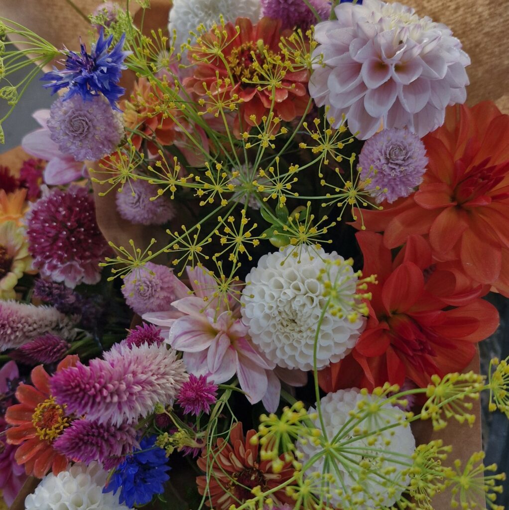 pleins de fleurs aux formes et couleurs variées